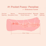 Tantaly_Male_Masturbator_Pocket_Pussy_Features_1_new